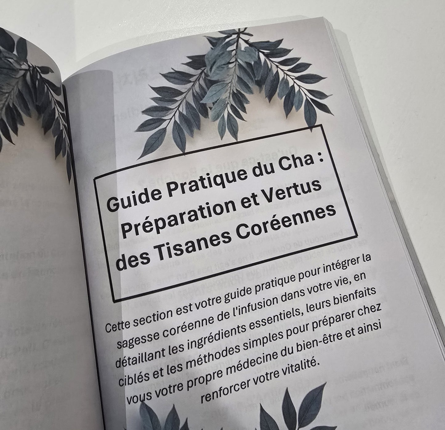 Le Guide du Vrai Bien-Être Coréen