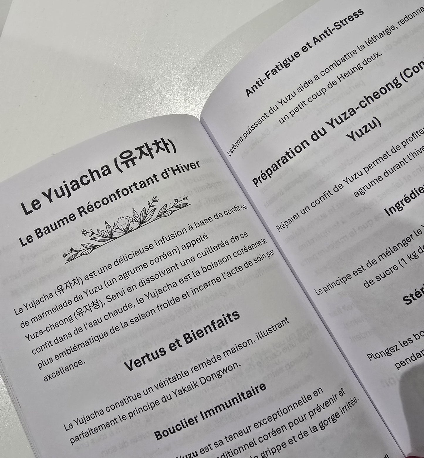 Le Guide du Vrai Bien-Être Coréen