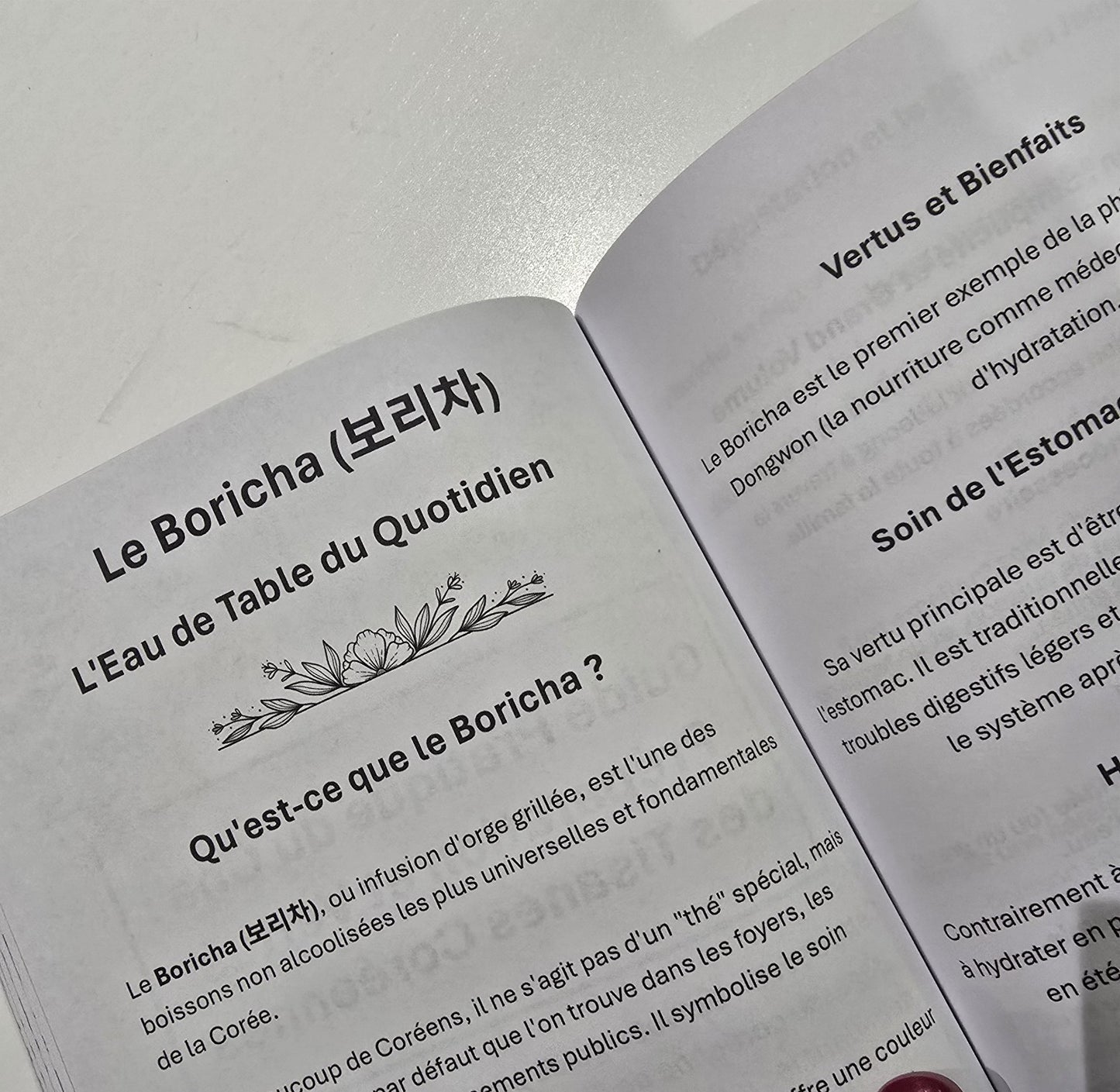 Le Guide du Vrai Bien-Être Coréen