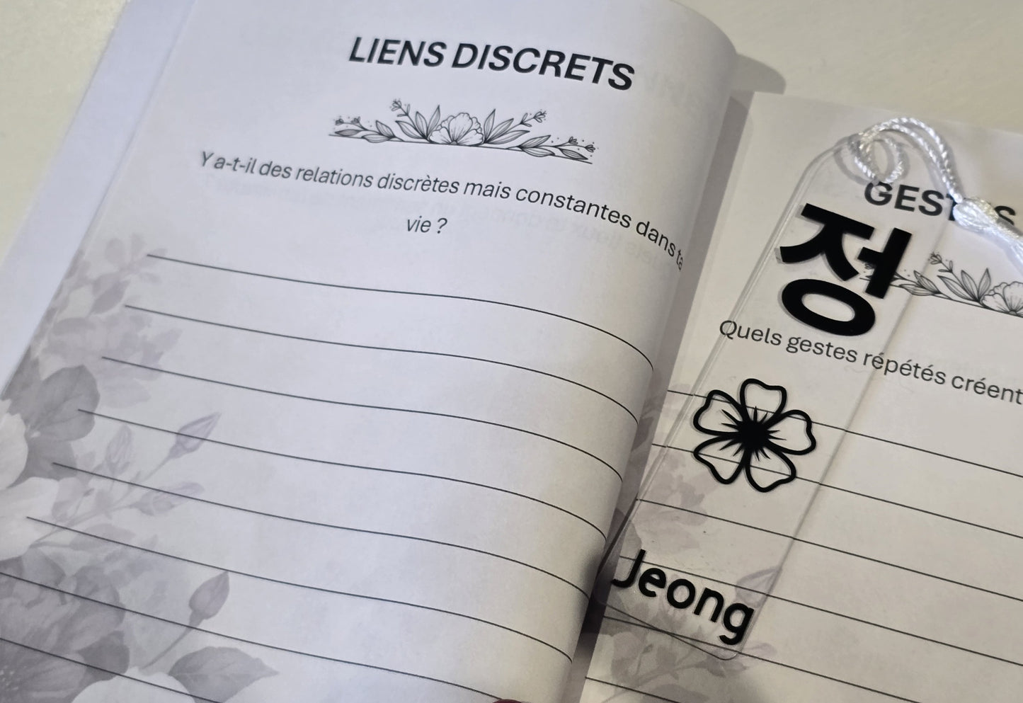 Journal du Jeong