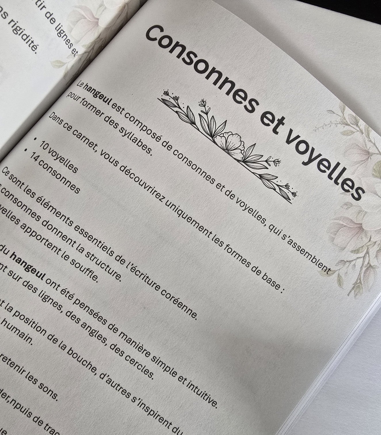 Le Guide du Vrai Bien-Être Coréen