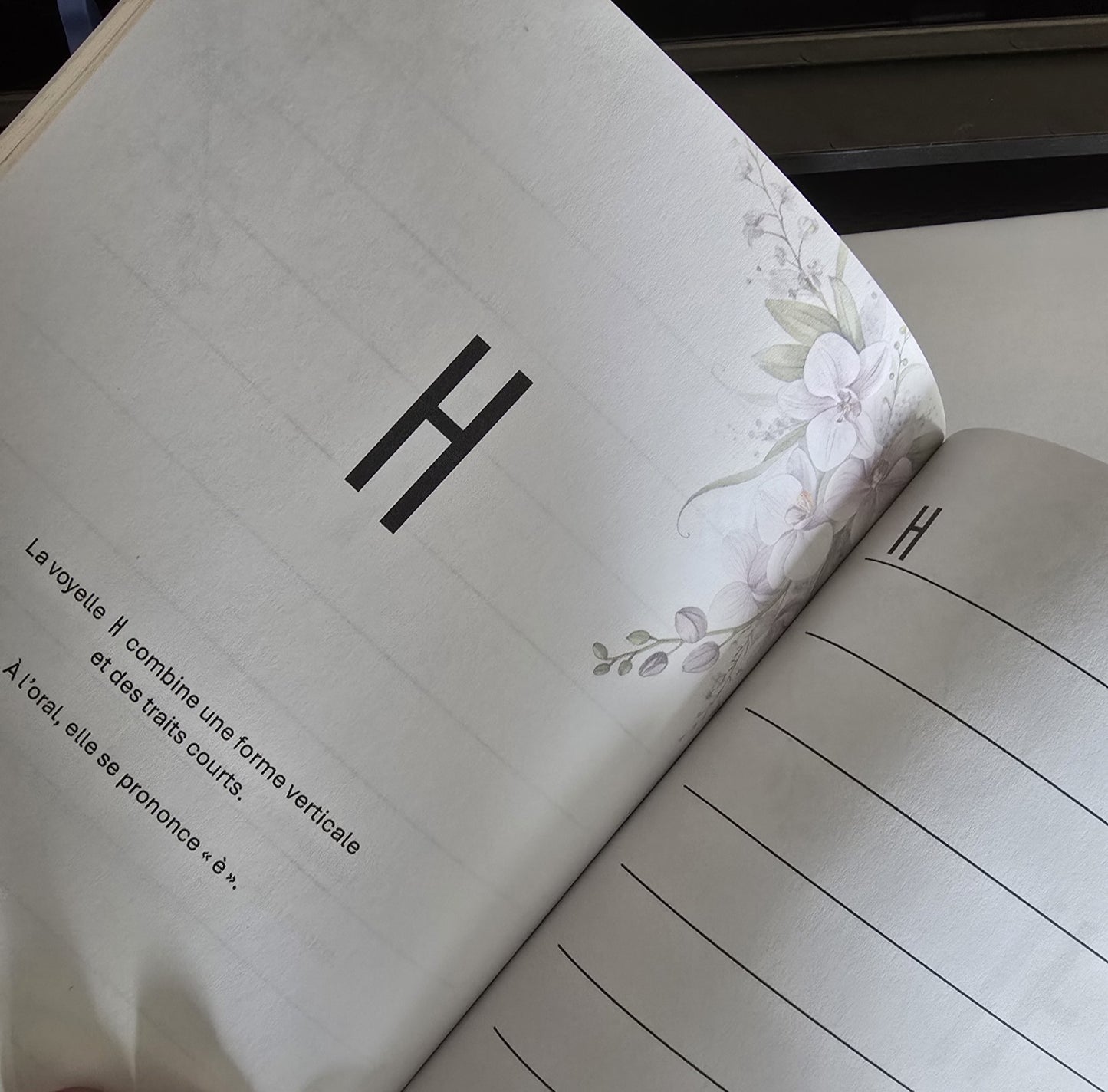 Le Guide du Vrai Bien-Être Coréen